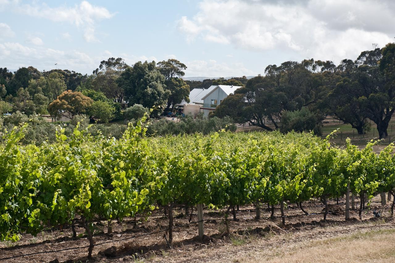 The Farm Willunga Exterior foto